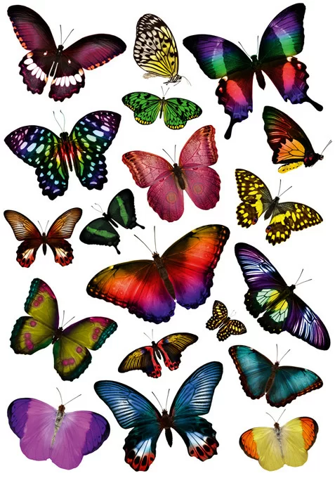 Украшение Декоретто сказочные бабочки
