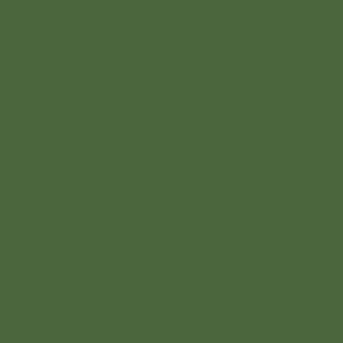 Грунт-эмаль по ржавчине аэрозольный Monarca 270 г/520 мл зеленый лист RAL6002