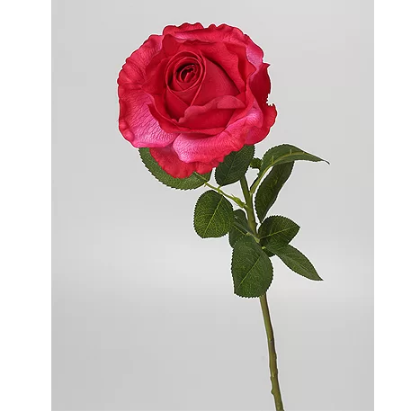 Роза Принц 70см 1шт темно-малиновый