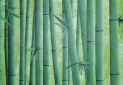 Пленка самоклеющаяся 0.45х8 м бамбук зеленый 09-1А