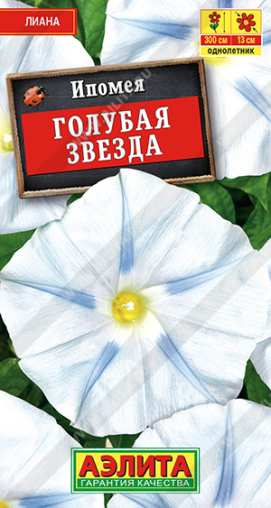 Ипомея Голубая звезда Аэлита
