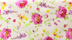 Клеенка Borsa Camelia Верано 140 см арт.806/1 