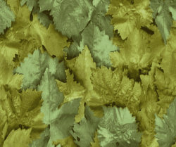 Пленка самоклеющаяся 0.45х8 м  зеленые листья 8257