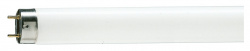 Лампа Philips люминесцентная tl-d 36w/33 d26/g13/1200мм холодно-белый
