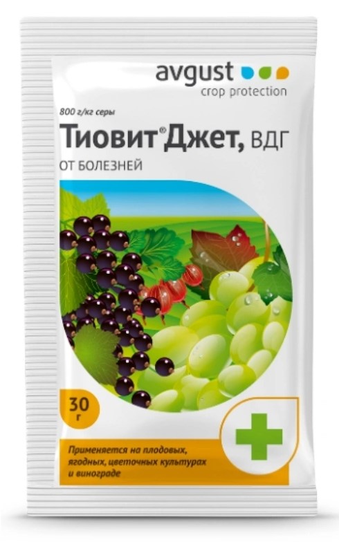 Тиовит джет Avgust (сера коллоидная)