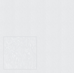 Обои бумажные "Аккорд" 0.53х10 м дуплекс белые, ТД "Пермские обои"